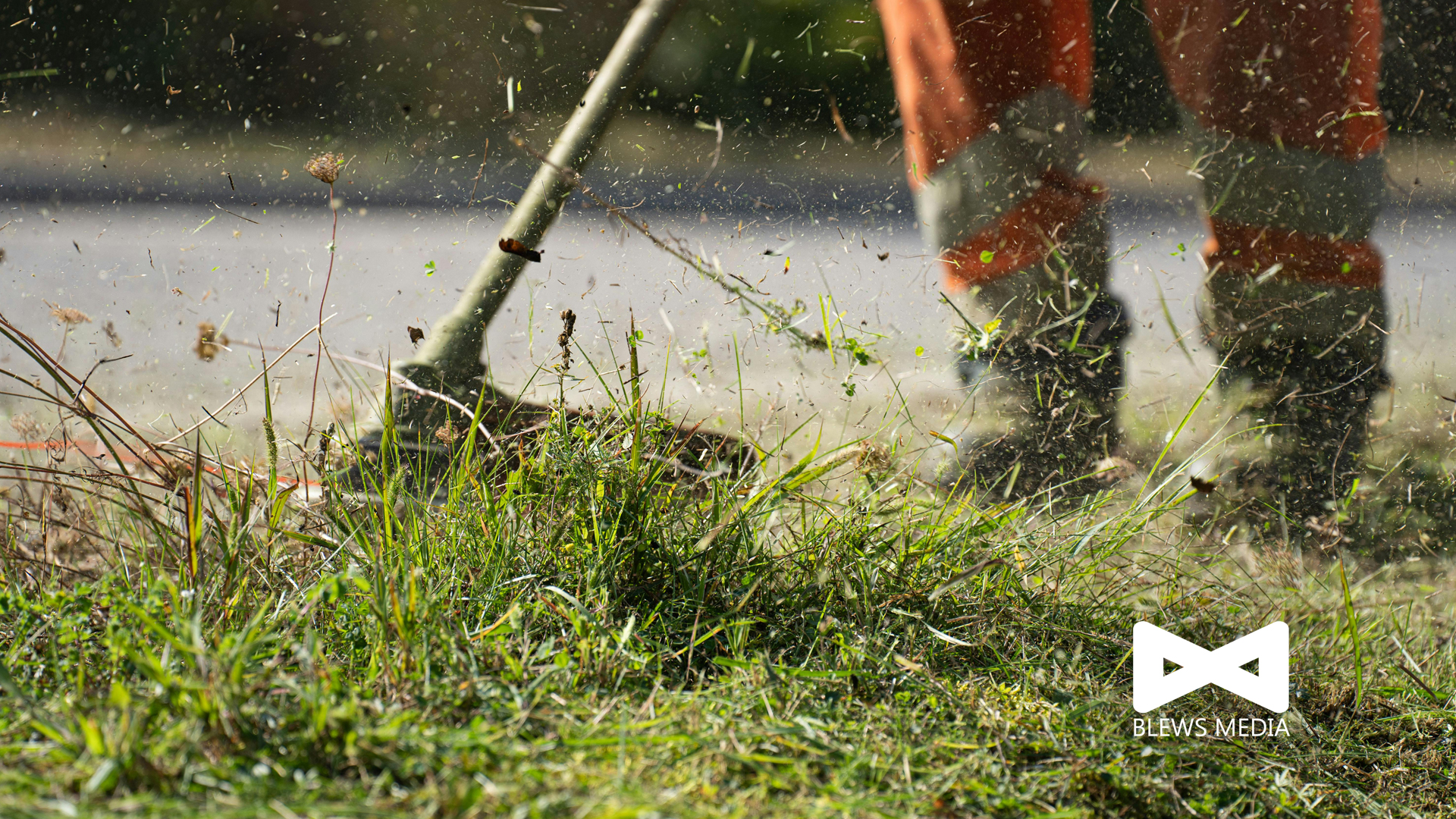 How we helped a local lawn care business grow their monthly leads in New Castle