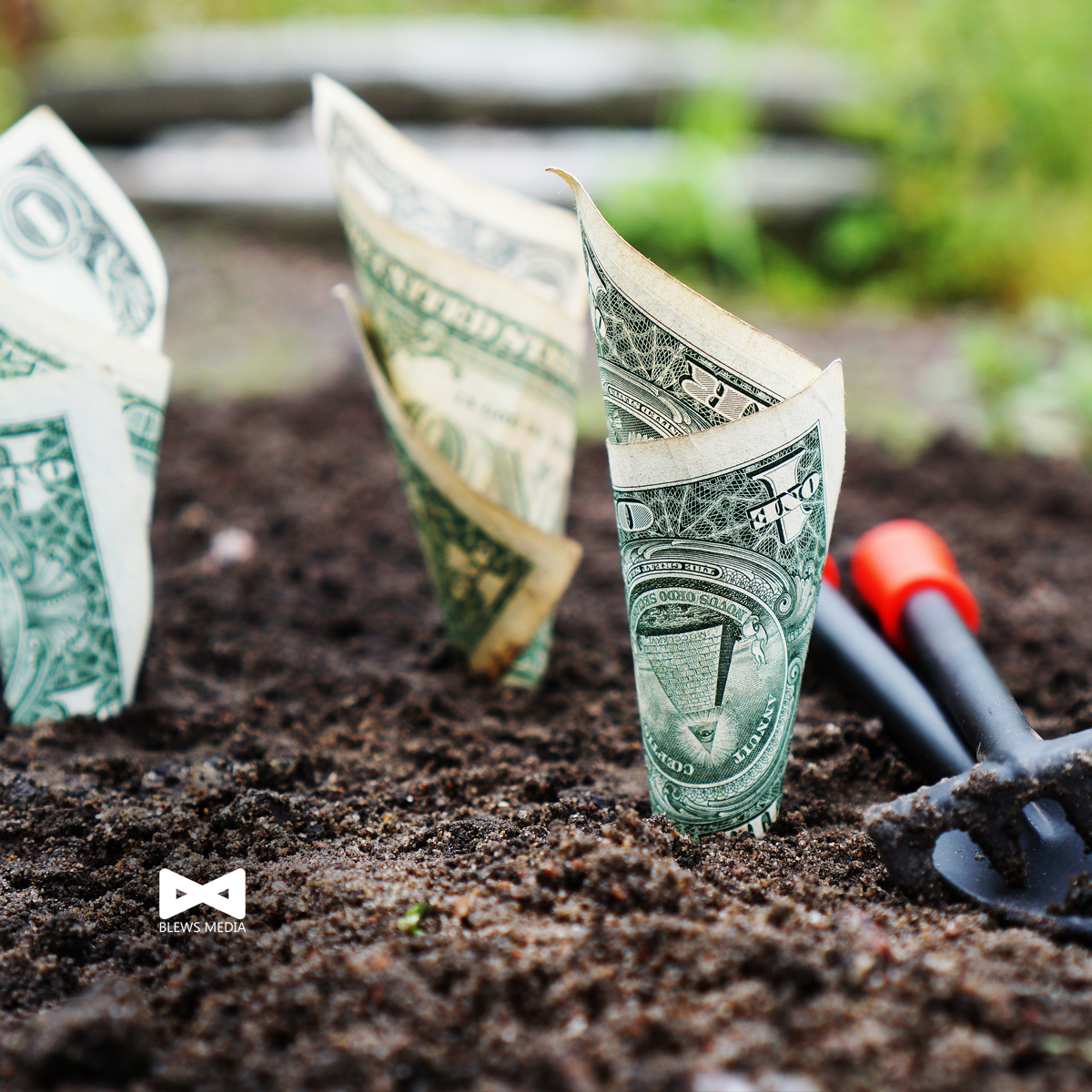 Local Business Myth Exposed: Growth Isn’t Just About Luck